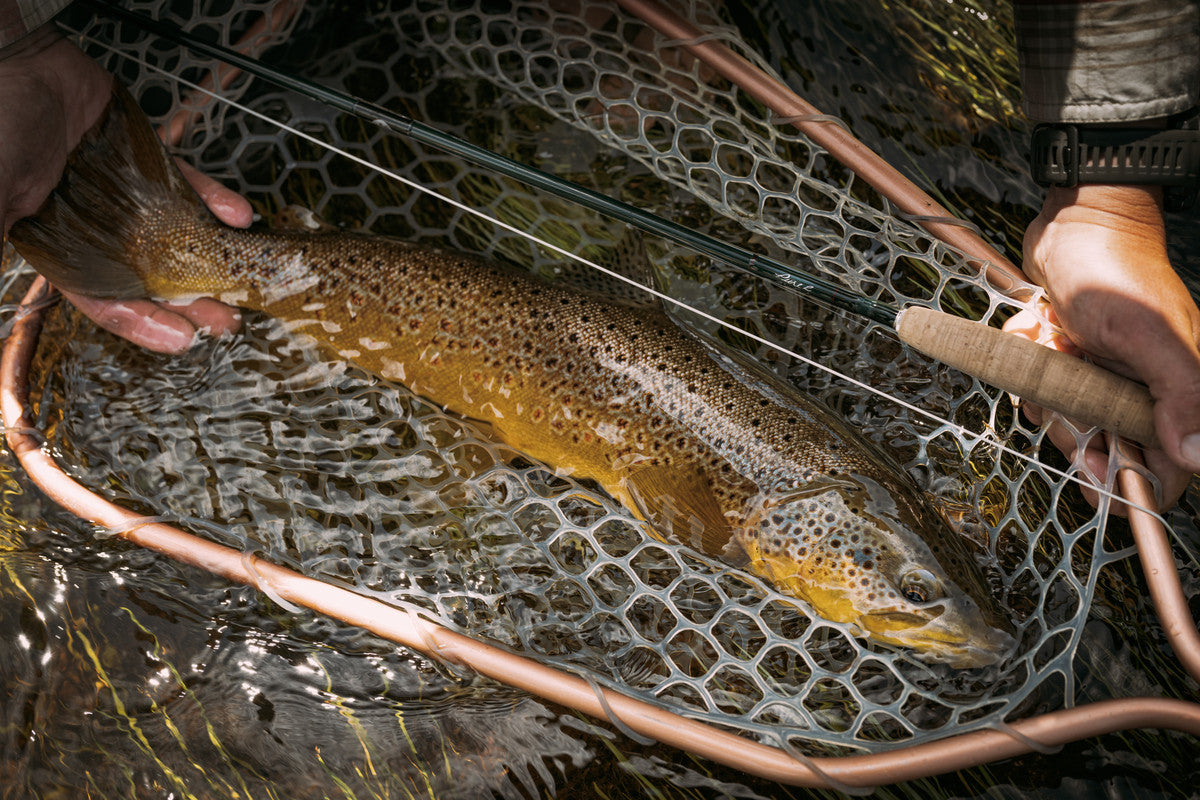 Inside Winston Fly Rod Design: A Chat with Hank Haen on the Air 2 Max and Pure 2 Series