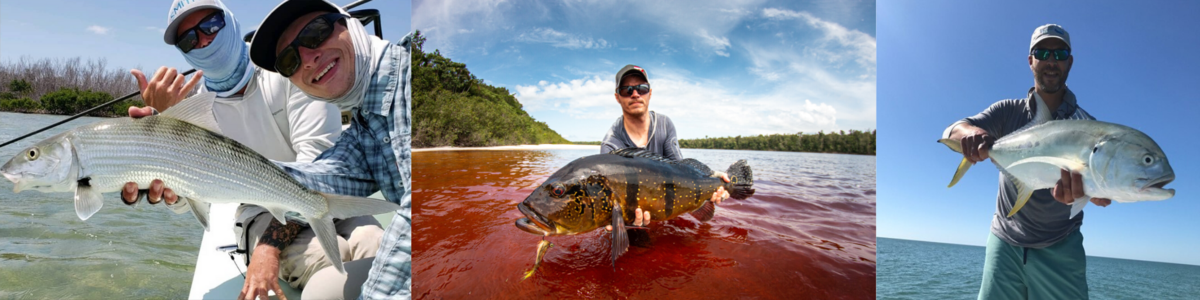 Our 2019 Year End Recap