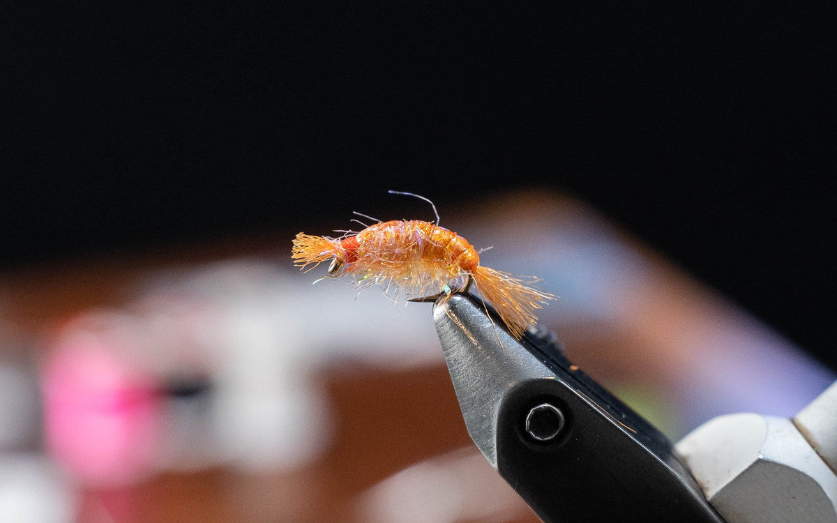 Fly Tying Video Tutorial: Dorsey’s UV Scud