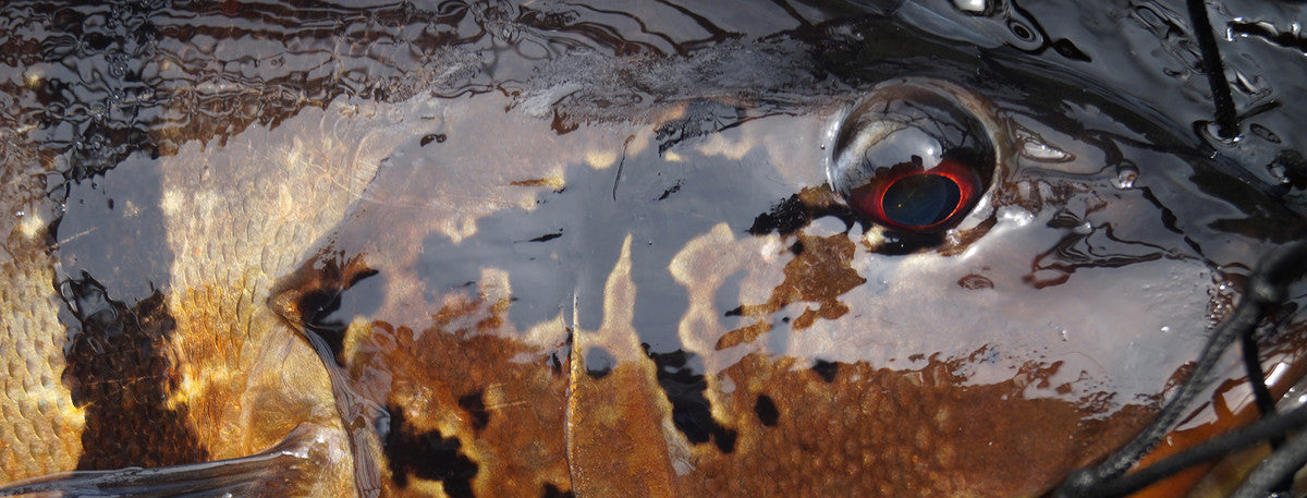 Gearing Up For The 4th Annual Mile High 25 Tournament