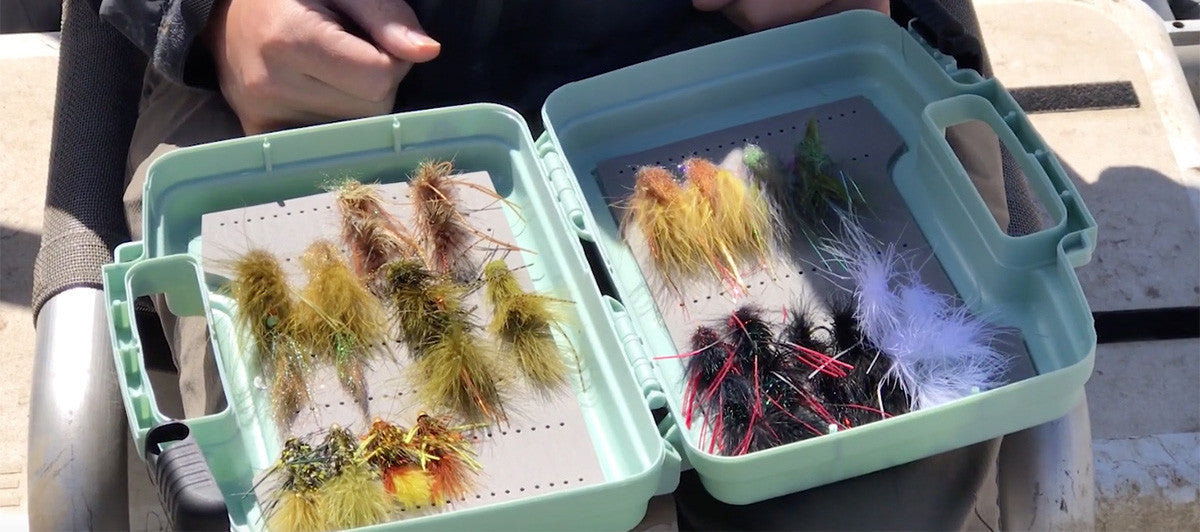Our Favorite Flies for Fall Streamer Fishing