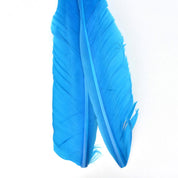 Nature's Spirit Goose Quills