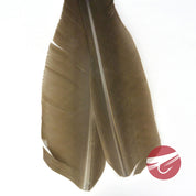 Nature's Spirit Goose Quills