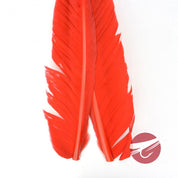 Nature's Spirit Goose Quills