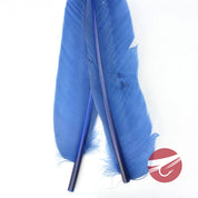 Nature's Spirit Goose Quills