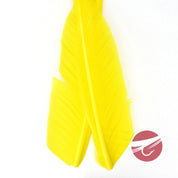 Nature's Spirit Goose Quills