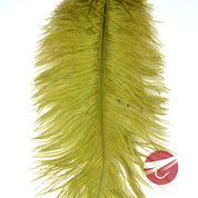 Nature's Spirit Ostrich Plumes