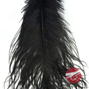 Nature's Spirit Ostrich Plumes