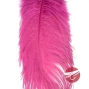 Nature's Spirit Ostrich Plumes