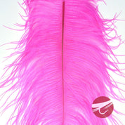 Nature's Spirit Ostrich Plumes