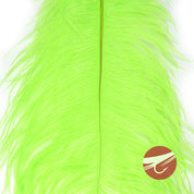 Nature's Spirit Ostrich Plumes