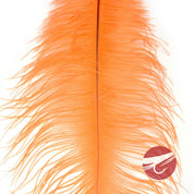 Nature's Spirit Ostrich Plumes