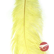 Nature's Spirit Ostrich Plumes