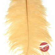 Nature's Spirit Ostrich Plumes