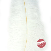 Nature's Spirit Ostrich Plumes