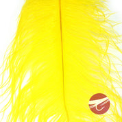 Nature's Spirit Ostrich Plumes