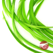 Nature's Spirit Stripped Goose Biots