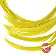 Nature's Spirit Stripped Goose Biots