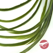 Nature's Spirit Stripped Goose Biots