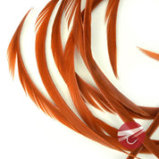 Nature's Spirit Stripped Goose Biots