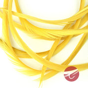 Nature's Spirit Stripped Goose Biots