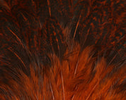 Hareline India Hen Backs