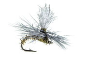 Christiaens' GT Adult - MFC Fly
