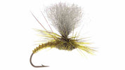 Christiaens' GT Adult - MFC Fly
