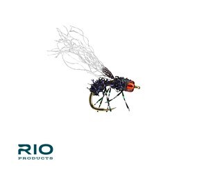 Anty Raid - RIO Fly