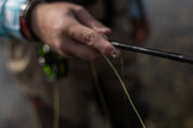 Sage Sense Fly Rod
