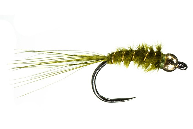 Chan's Baby Damsel - MFC Fly