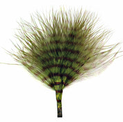 MFC Fine Barred Marabou