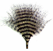 MFC Fine Barred Marabou