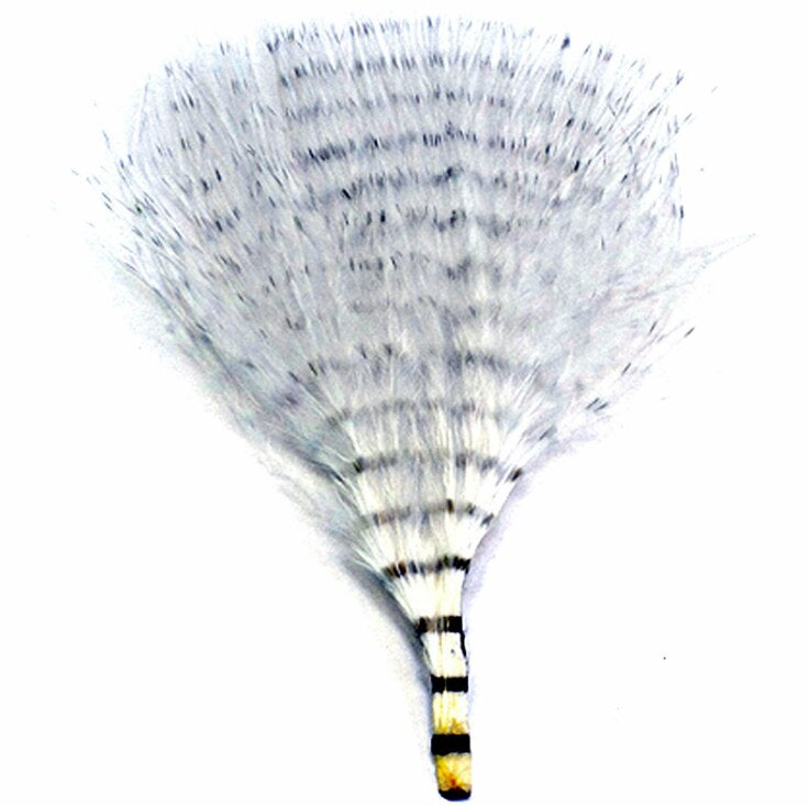 MFC Fine Barred Marabou