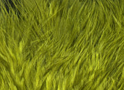 Hareline Woolly Bugger Marabou