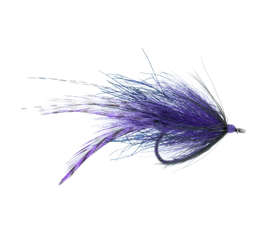Chewy's Fit For A King - Umpqua Fly