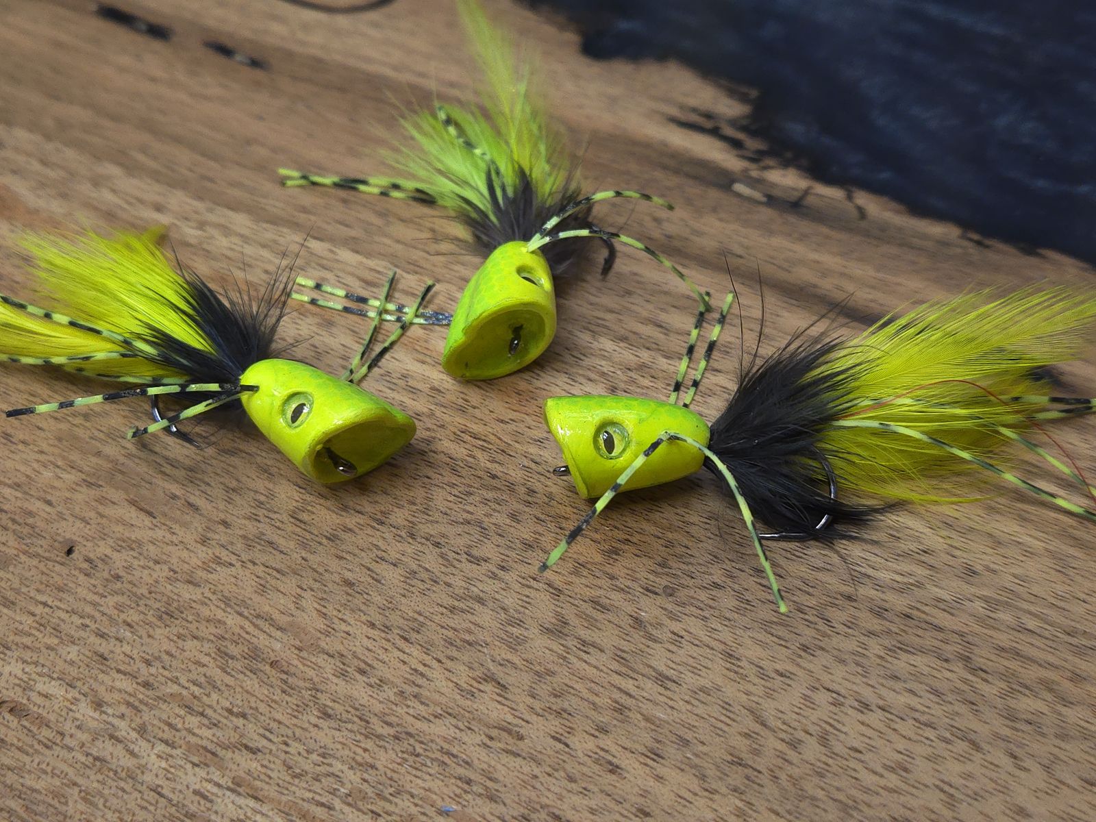 bass popper fishing lure Surface Seducer Popper - Flymen Fishing Co Fly