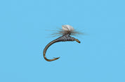 Brook's Sprout Midge - Solitude Fly
