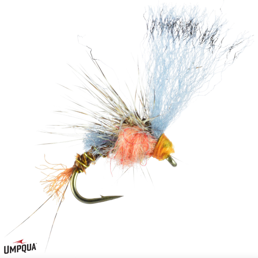 Quigley's Film Critic - PMD - Umpqua Fly