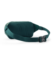 Patagonia Terravia Mini Hip Pack
