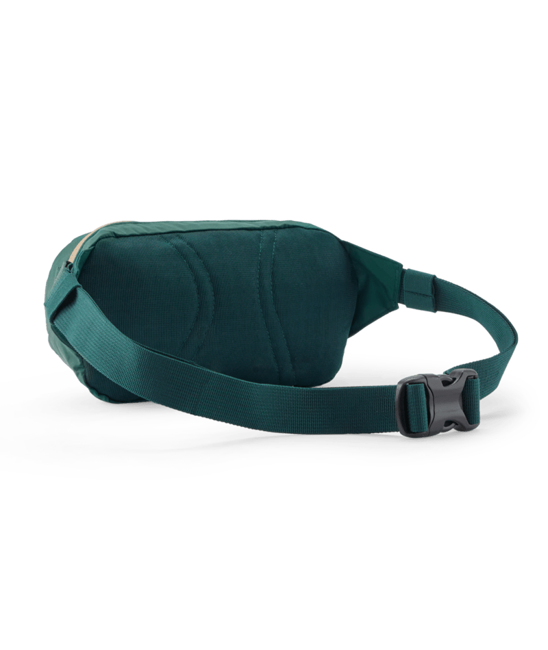 Patagonia Terravia Mini Hip Pack