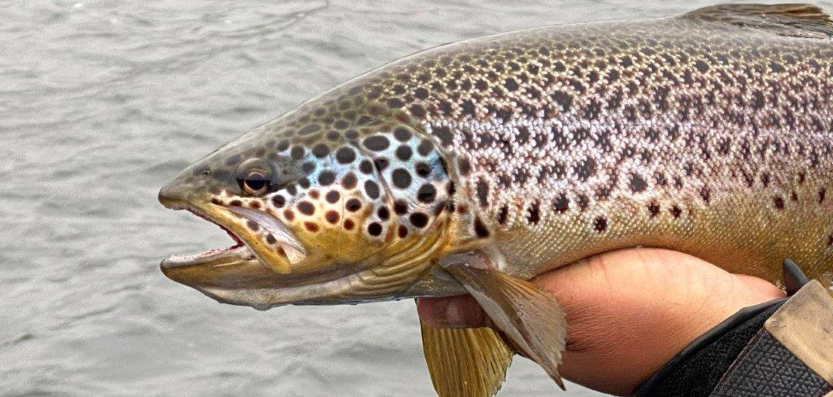 South America Is Calling With Two Spectacular Patagonian Fly Fishing Destinations