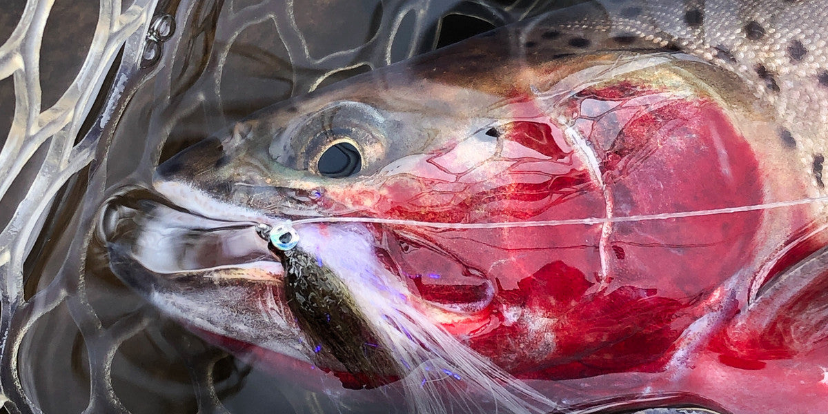 This is Anglers All: Where We’ve Been & Where We’re Headed