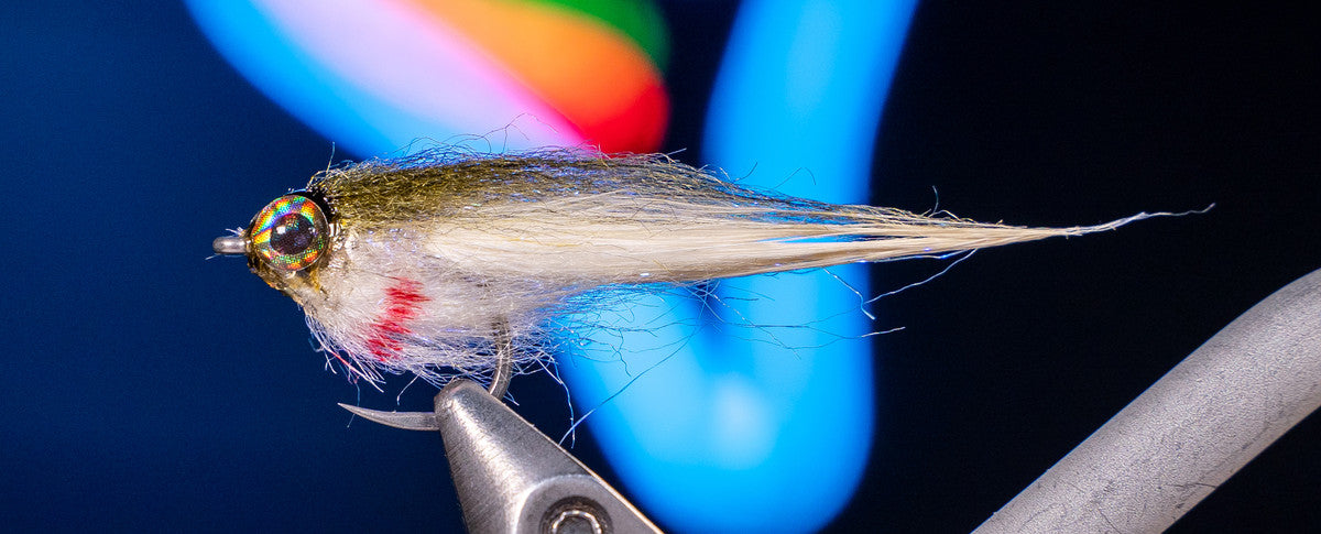 Fly Tying Video: Cheech’s Baby Fat Minnow with Ben Baxter