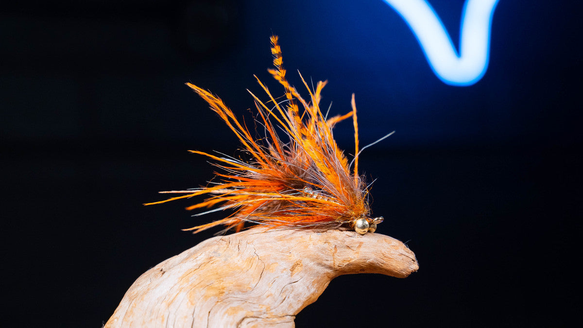 Fly Tying Video: Bad Medicine Intruder with Jack Reis of Fishpond