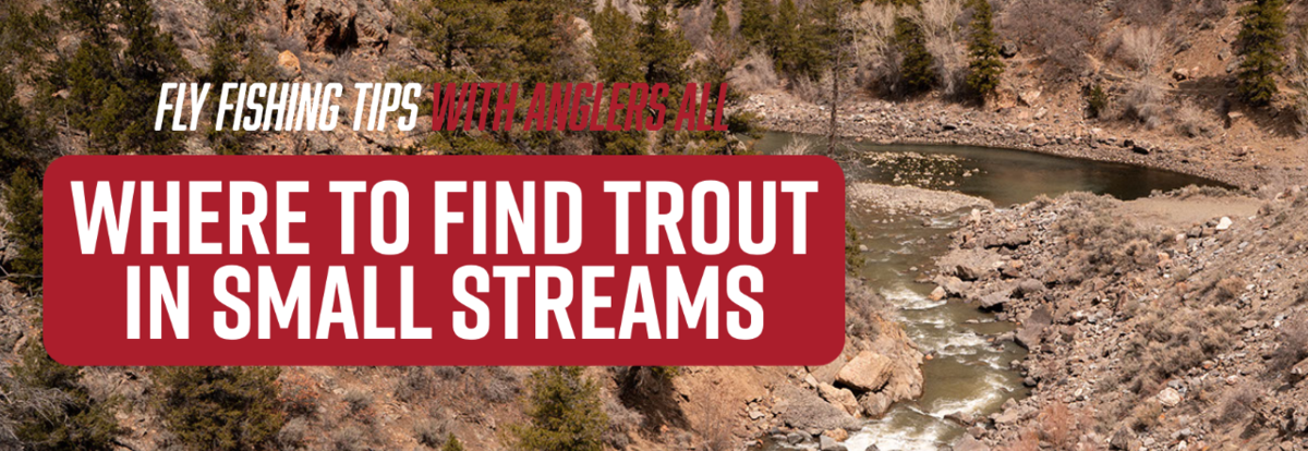 New Video: Where to Find Trout In Small Streams