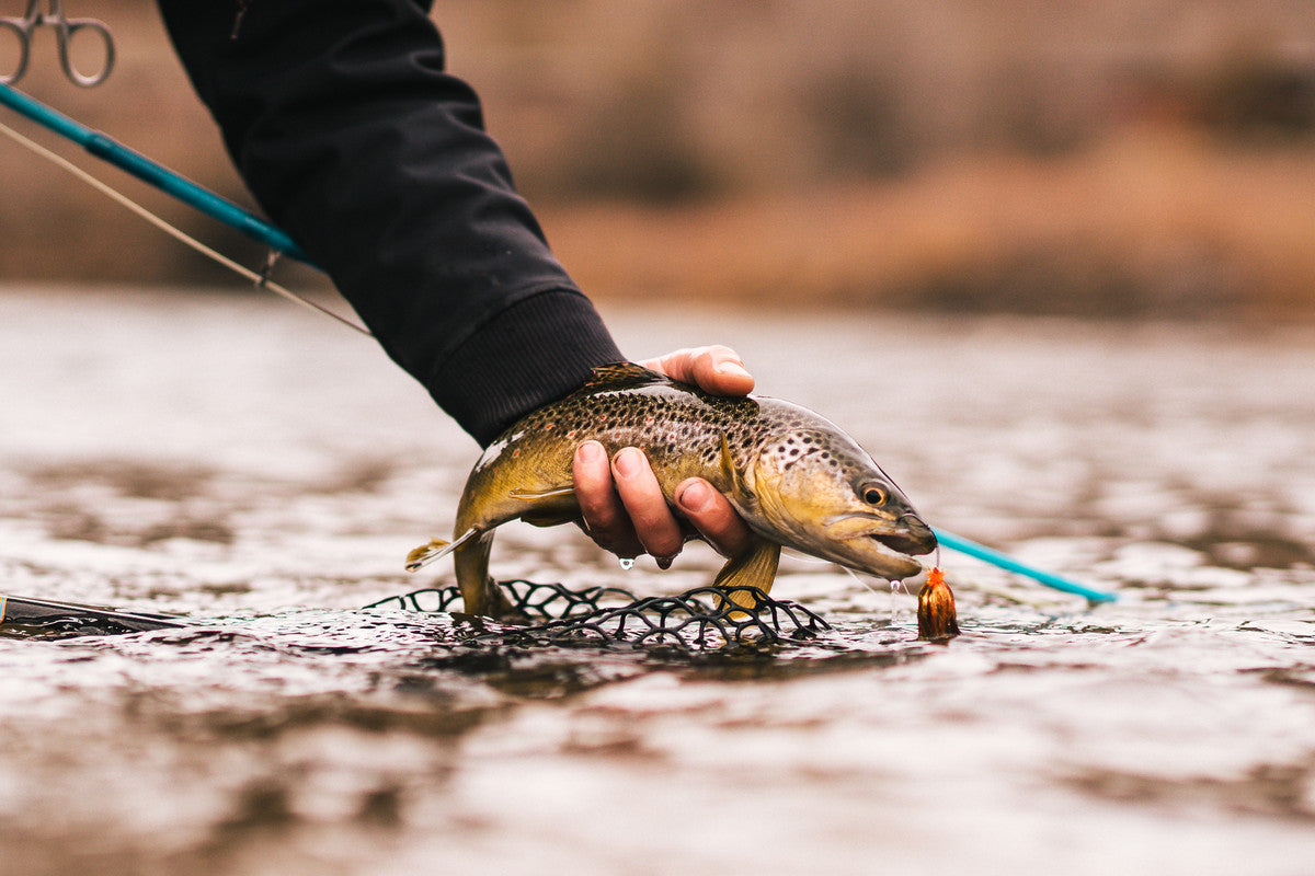 Fish Your Favorite Freestone Rivers During High Water Season