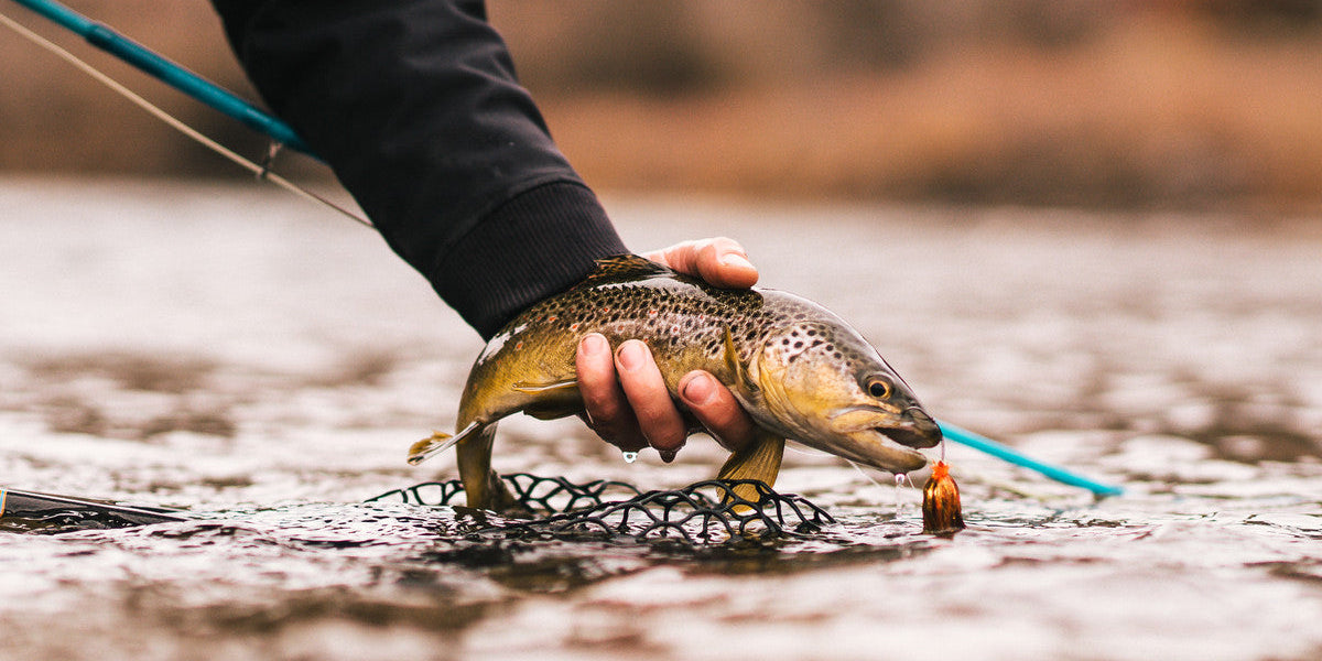 Fish Your Favorite Freestone Rivers During High Water Season