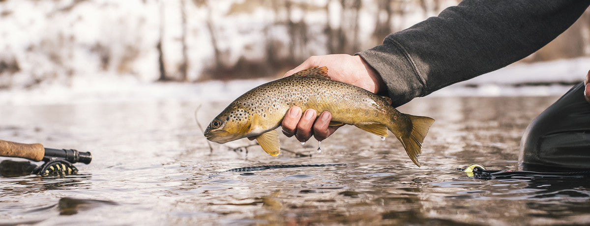 Tips for Winter Tailwater Fly Fishing