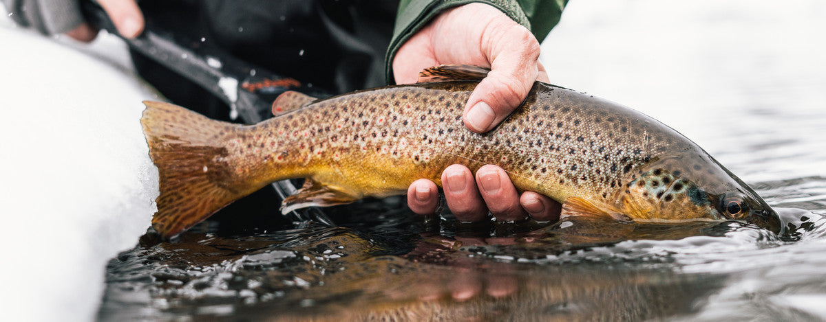 Dry Fly Fishing In The Dead Of Winter. A Quick Guide